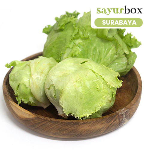 

Selada Iceberg Conventional 1 kg (Sayurbox) - SURABAYA