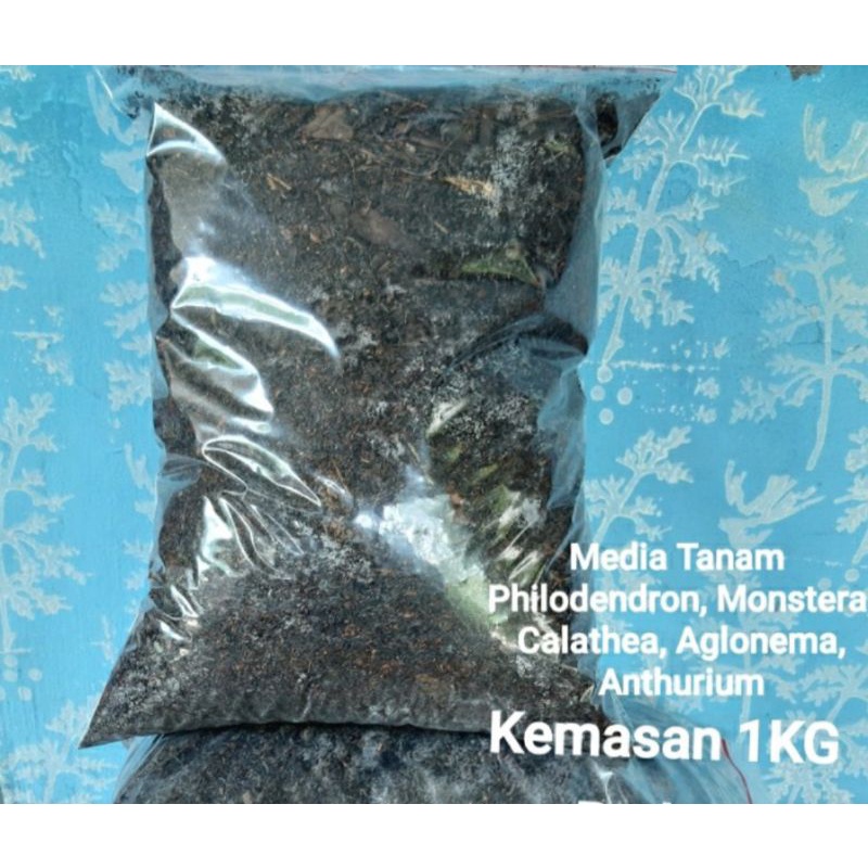 media tanam  Aglonema steril siap pakai 1 kg