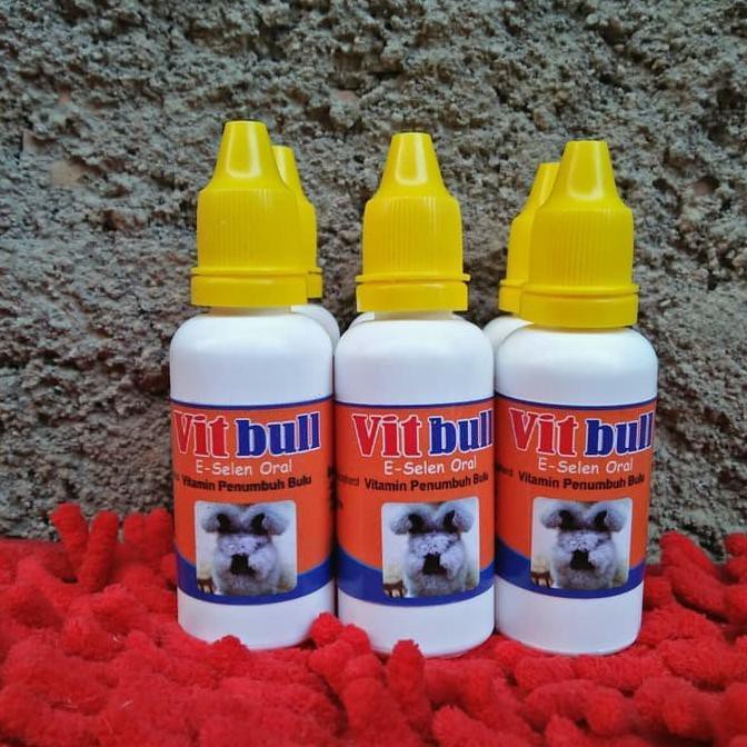 Supplemen Obat Vitamin bulu Kelinci Hamster Marmut VITT BULL vitbull murah