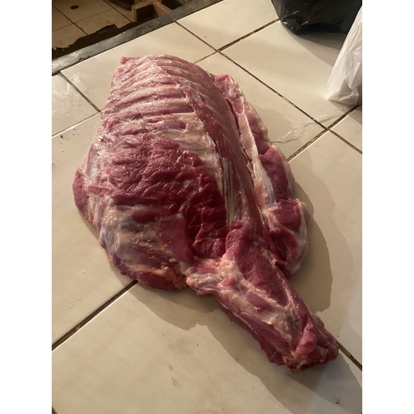 

Iga Lebar Besar Paikut Bakut Babi