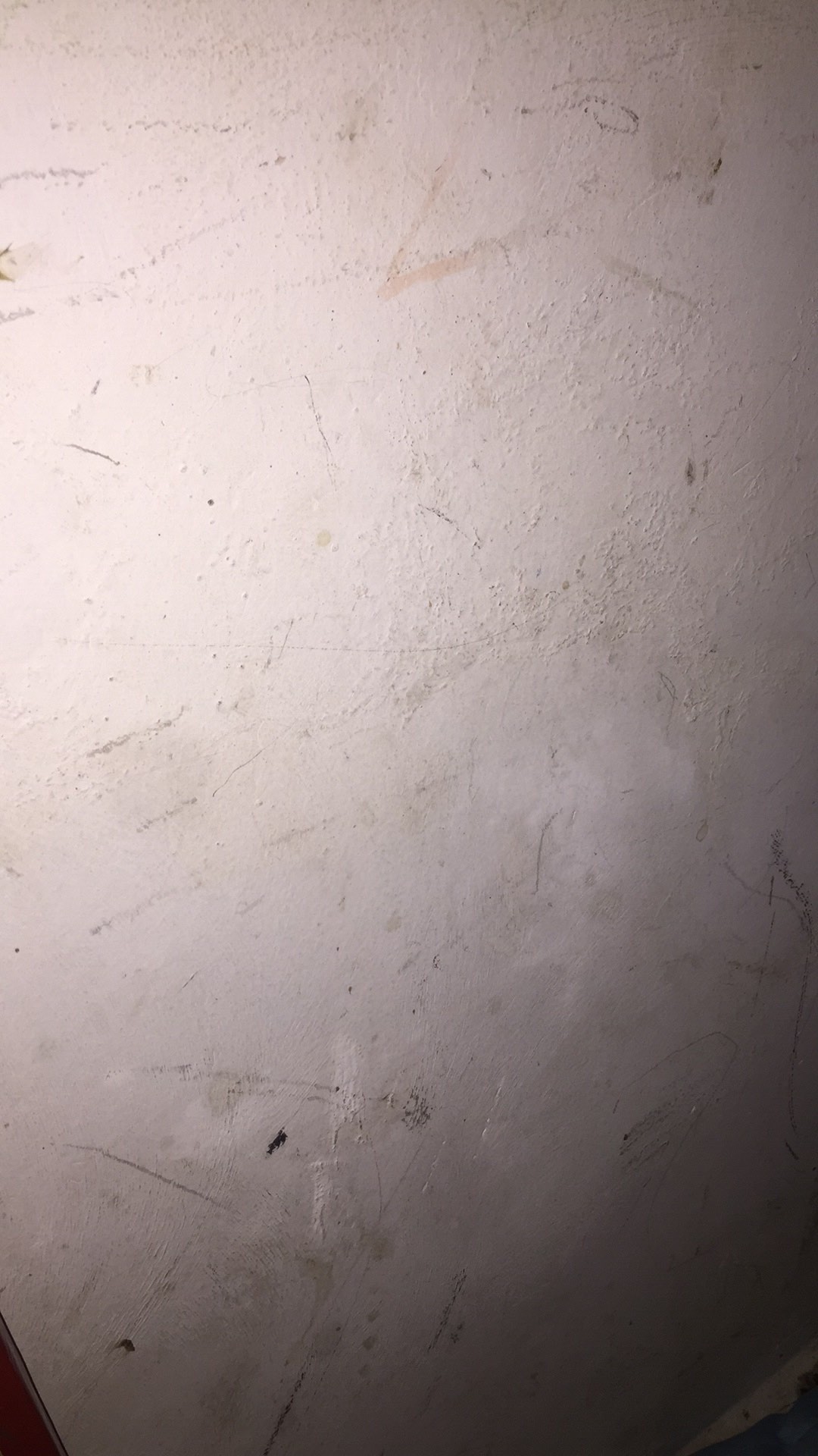 Packing Kayu / Peti Kayu