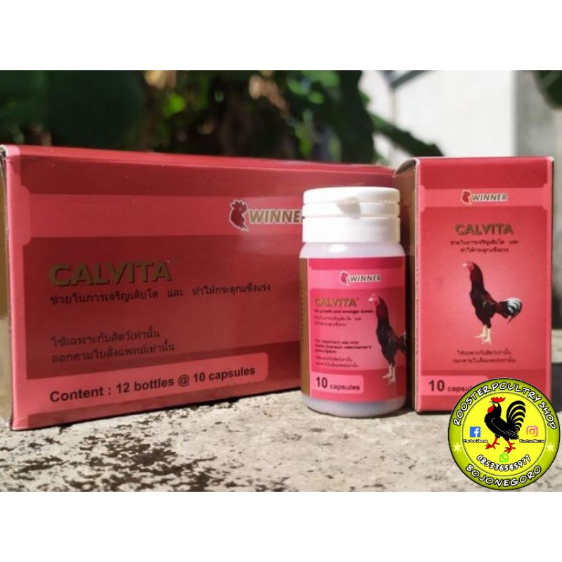 Jual WINNER Calvita Medion Vitamin Pertumbuhan Tulang Ayam Adu Laga