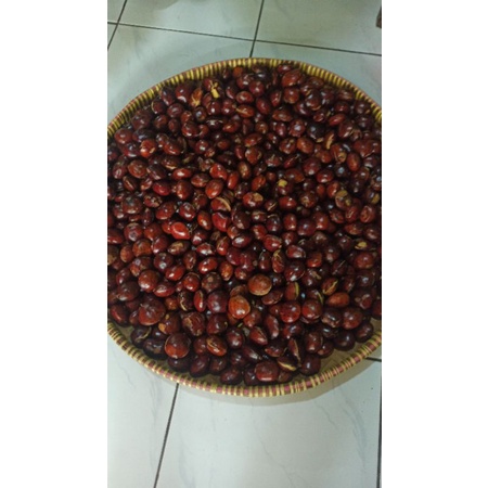 

jengkol