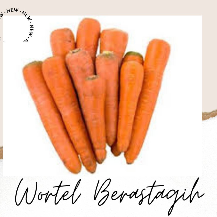 

WORTEL BERASTAGIH 1KG