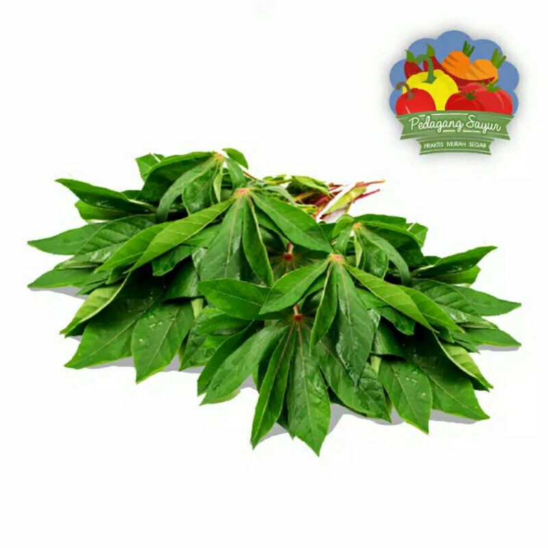 

Daun Singkong Muda Per Ikat