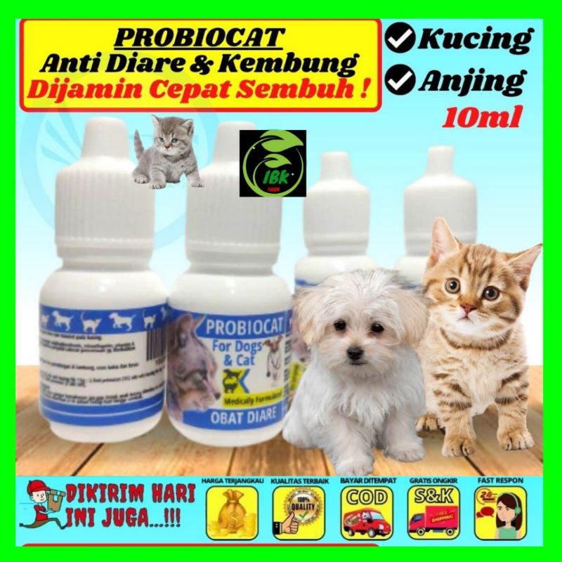 Obat Mencret Kucing Anjing Obat Berak Darah Kucing PROBIOCAT INBEKEN
