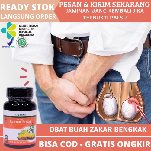 Obat Buah Zakar Bengkak Sebelah Untuk Anak &amp; Dewasa, Obat Buah Zakar Bengkak, Obat Turun Berok, Obat Turun Berok Pria, Obat Hernia, Obat Turun Berok Hidrokel Varikokel, Obat Untuk Mengurangi Cairan Di Testis Dengan Gamat Emas Kapsul Original