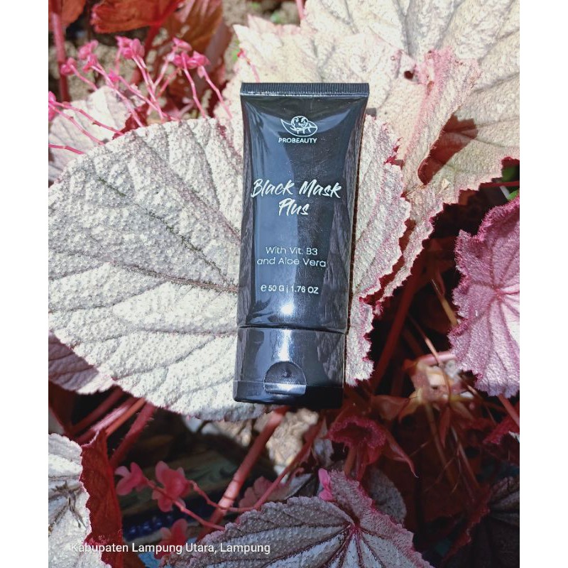 

BLACKMASKPLUSPROBEAUTY