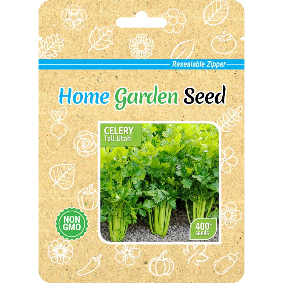 Benih Seledri / Celery - Tall Utah - Home Garden Seed