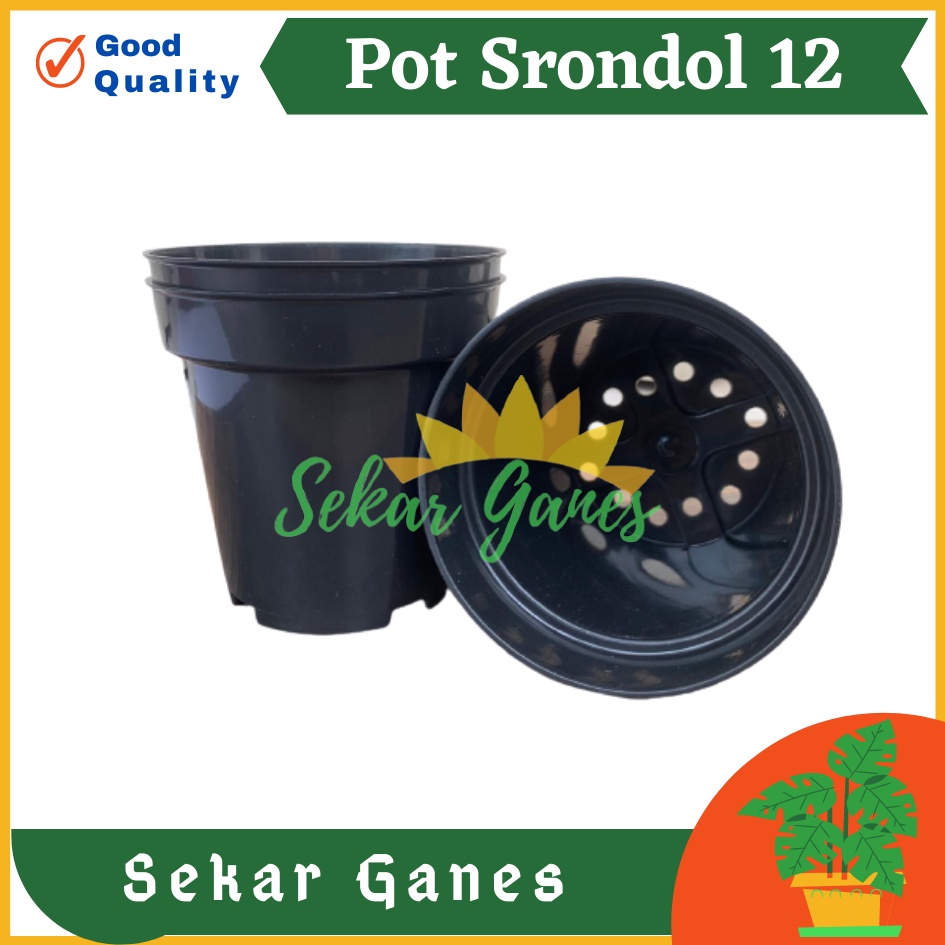 Pot Tinggi Srondol 12 HITAM - Pot Tinggi Usa Eiffel Effiel 18 20 25 Lusinan Pot Tinggi Tirus 15 18 20 30 35 40 50 Cm Paket murah isi 1 lusin pot bunga plastik pot tanaman Pot Bibit Besar Mini Kecil Pot Srondol Pot Bunga Tanaman Termurah Bahan Baguss