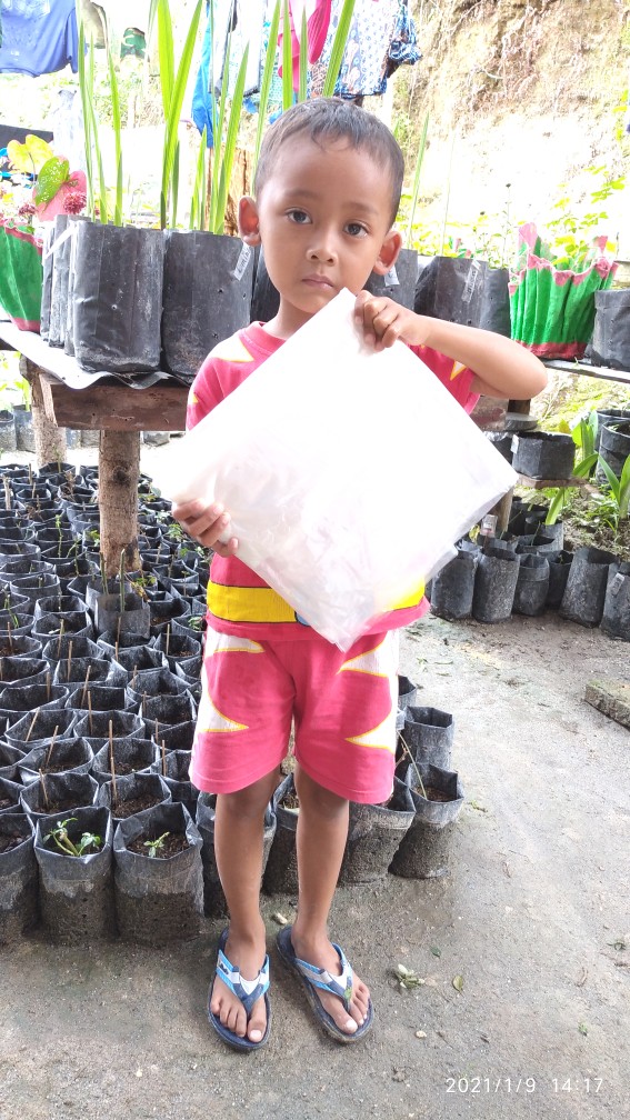 Plastik Pe Cor Packing Lebar1mter Doblelayer Dibelah Jadi Lebar 2mtr