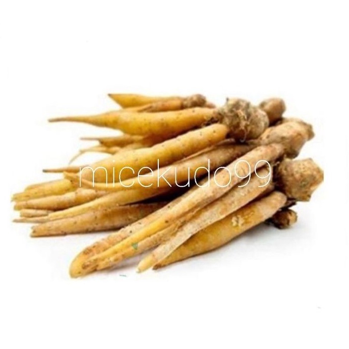 

TEMU KUNCI REMPAH / BUMBU SAYUR BAYAM