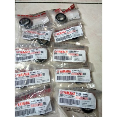 Bering Sasis mio 6003