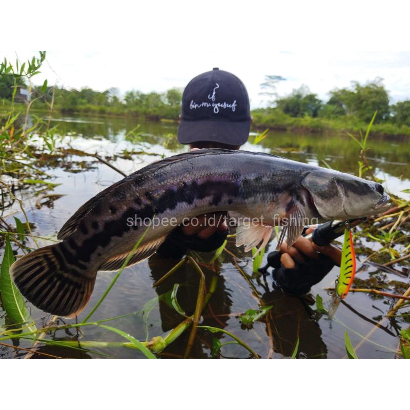 Minnow Lidah Panjang DIVER 90SP - Lure Casting Mangrove Jack &amp; Kerapu Muara