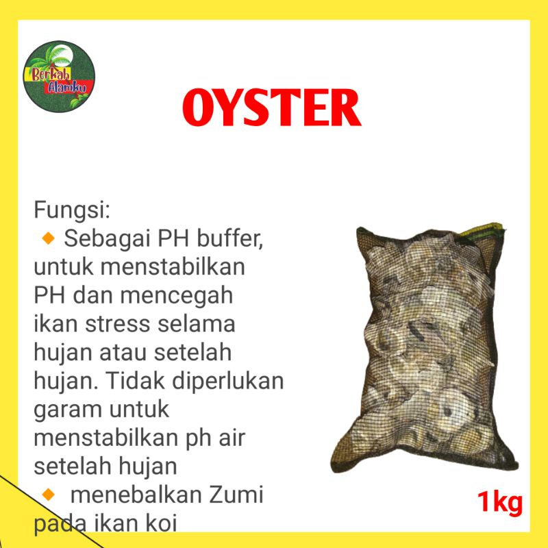 oyster media filter kolam ikan koi filter kimiawi pH air