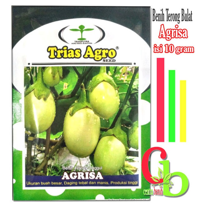 10gr BENIH TERONG BULAT HIJAU AGRISA - BIBIT TERONG