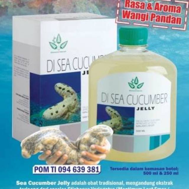 Diamond Interest Jelly Gamat Di Sea Cucumber Obat Herbal Alami Teripang Laut 500 Ml Indonesia
