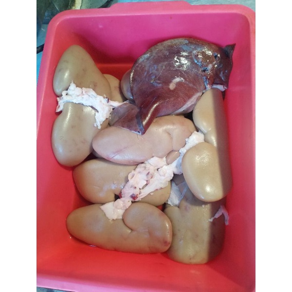 

Ginjal Hati Babi ( Non - Halal ) 1 kg