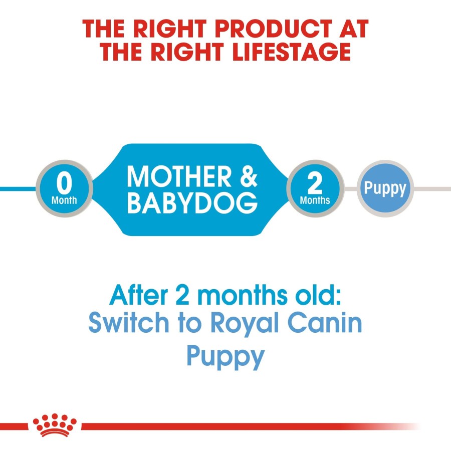 ROYAL CANIN STARTER MOUSSE DOG WET FOOD / MAKANAN BASAH ANJING 195GR