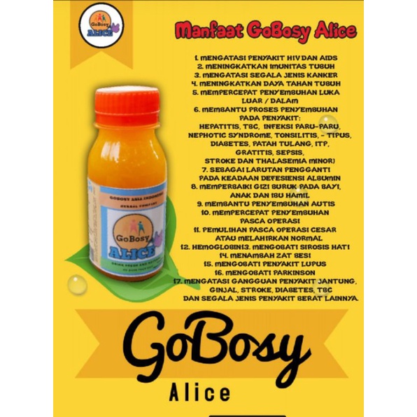 Gobosy Alice 1 Paket