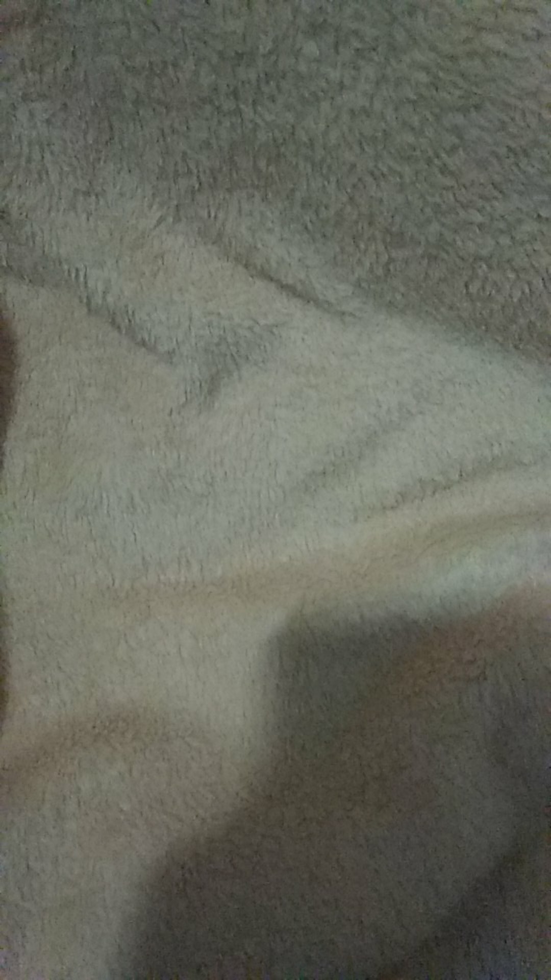 Tey-17 Batik Wanita Asj Sa Hrb026 Kenongo Kemeja Tosca Pendek