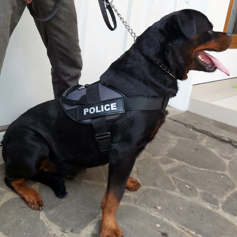 K9 Vest Rompi Anjing Medium Large Xtra Large