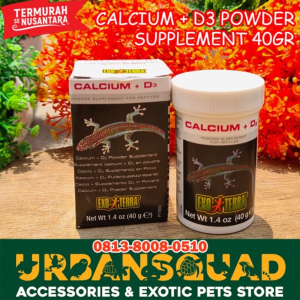 promo murah KANDANG KONTAINER SEKAT 4 GECKO SKINK PACMAN FROG SNAKE SULCATA ISTAR Berkualitas