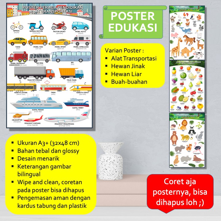 

Poster / Poster Edukasi / Poster Edukasi Belajar Anak Balita / Poster Dinding Bilingual Wipe & Clean