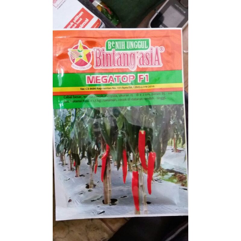 Cabai Megatop F1