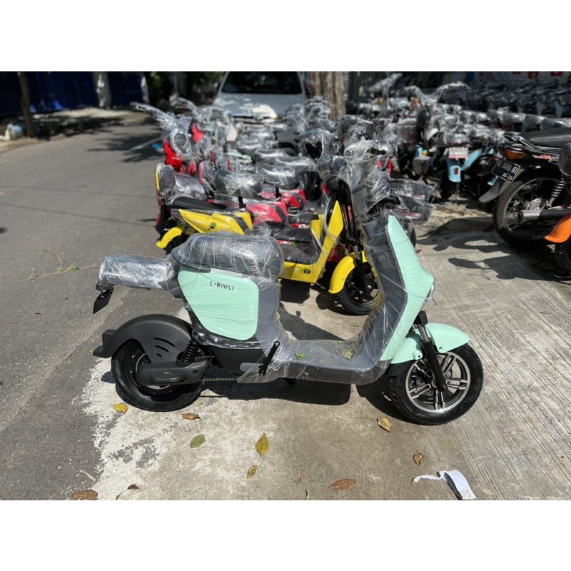 sepeda listrik Uwinfly U-2 Battery Lithium 48V 20A