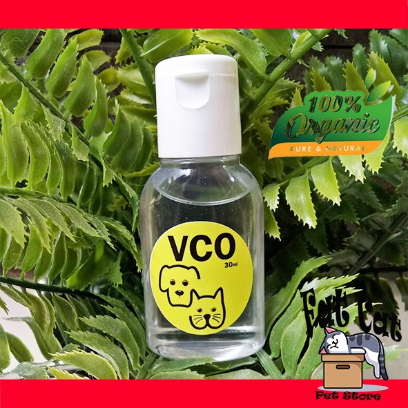 Virgin Coconut Oil 30ml obat jamur kucing VCO