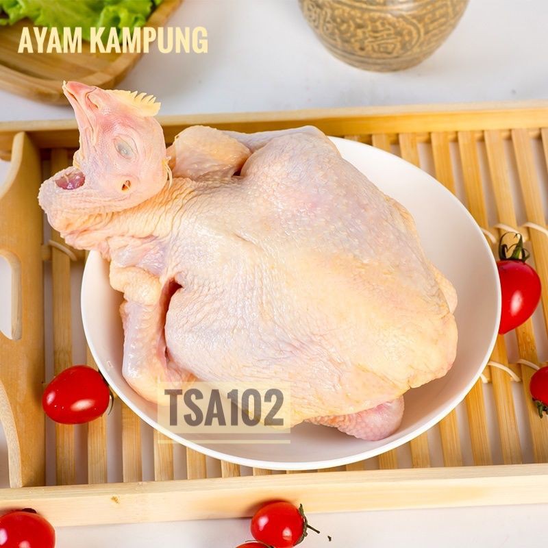 

AYAM KAMPUNG MENTAH