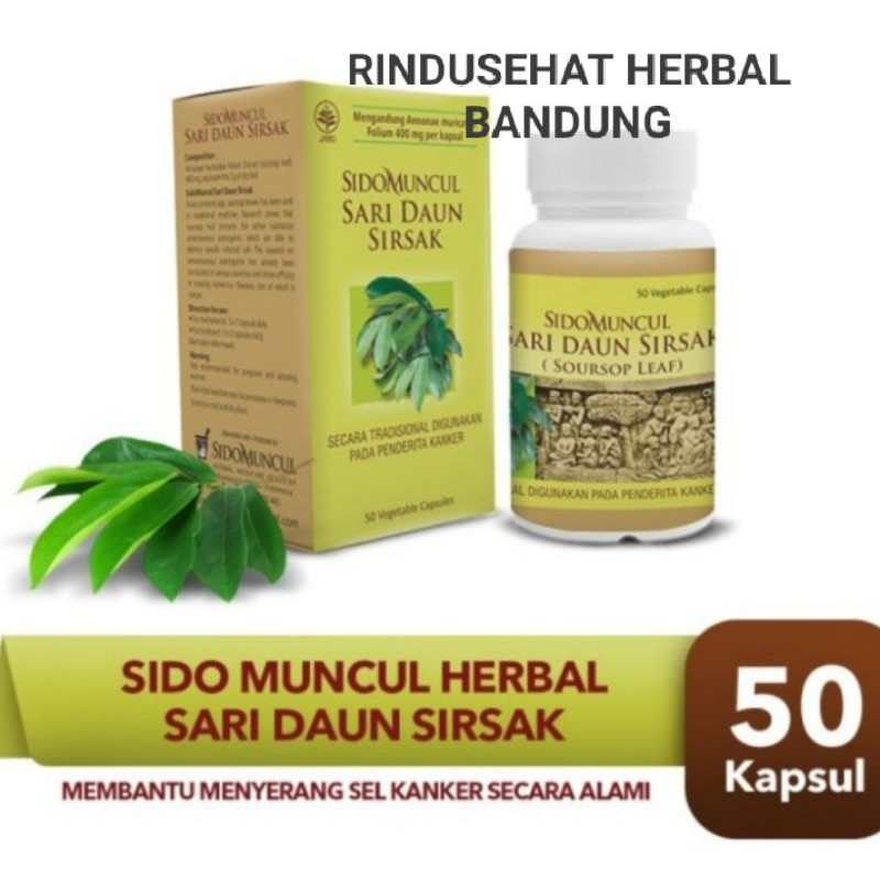 SARI DAUN SIRSAK SIDOMUNCUL, OBAT DAUN SIRSAK UNTUK KANKER TUMOR, SIRSAK KAPSUL