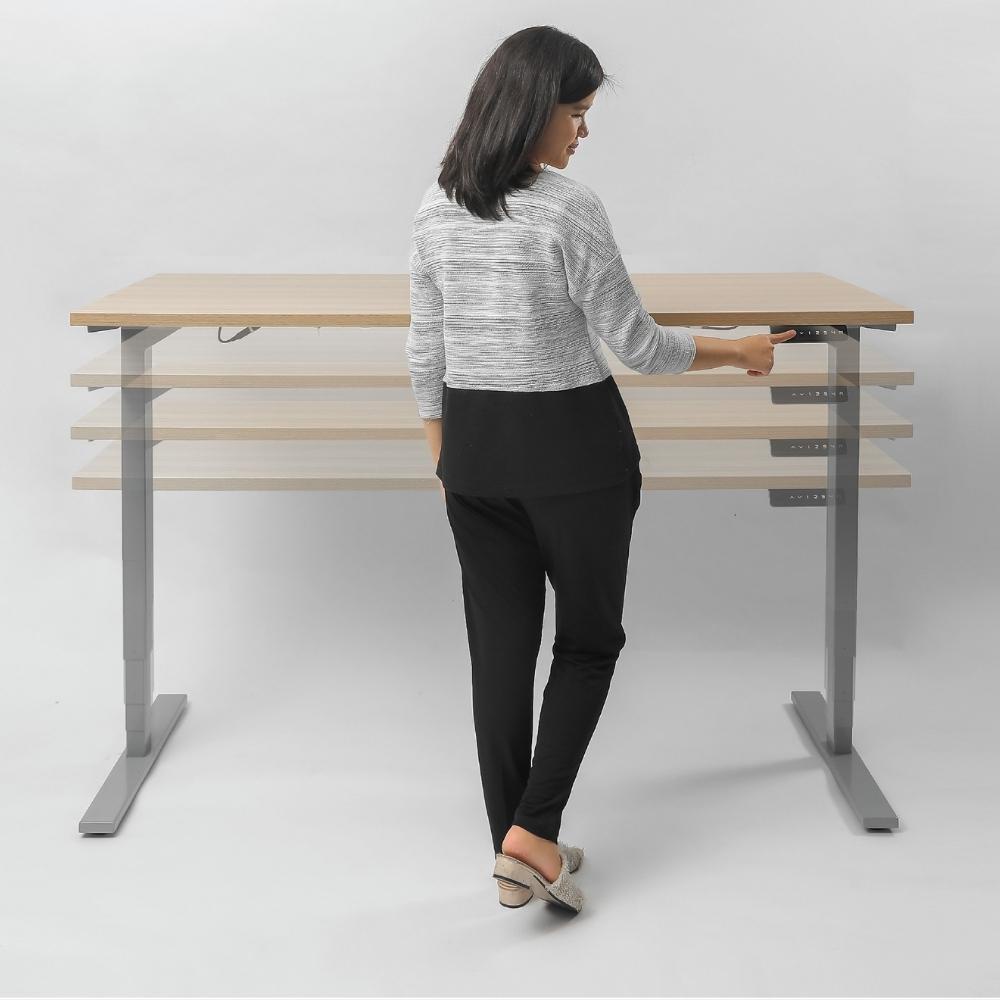 Firm - SNO High-Adjustable Desk