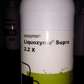 lazy