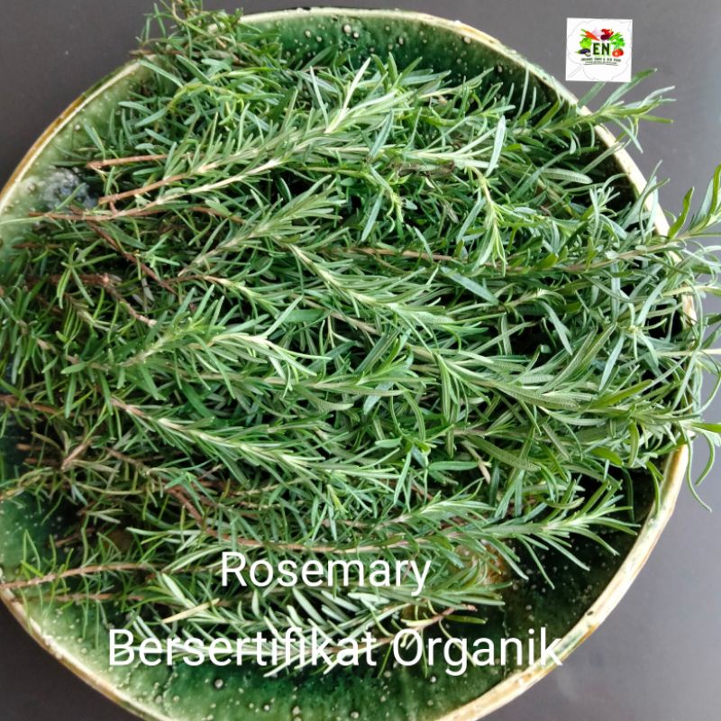 

Sayur Organik Rosemary 100% Bersertifikat Organik Vegetable Murah Sehat Healthy Life Grosir Supermarket