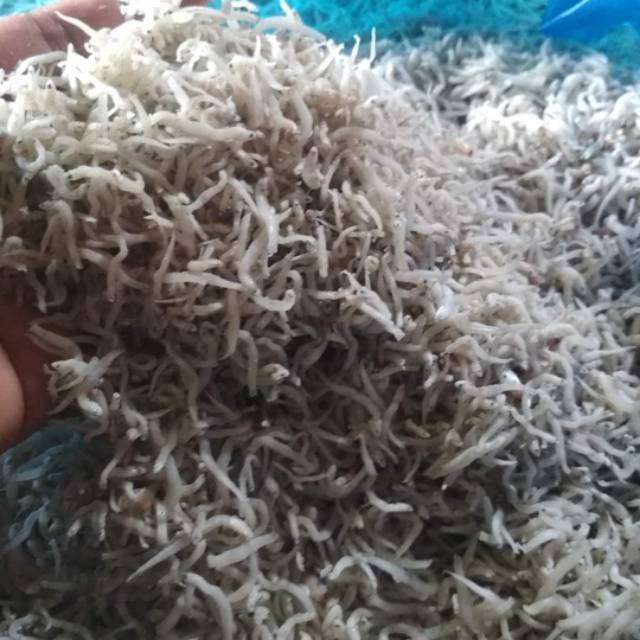 

Ikan teri nasi ukuran sedang kasar 500gram