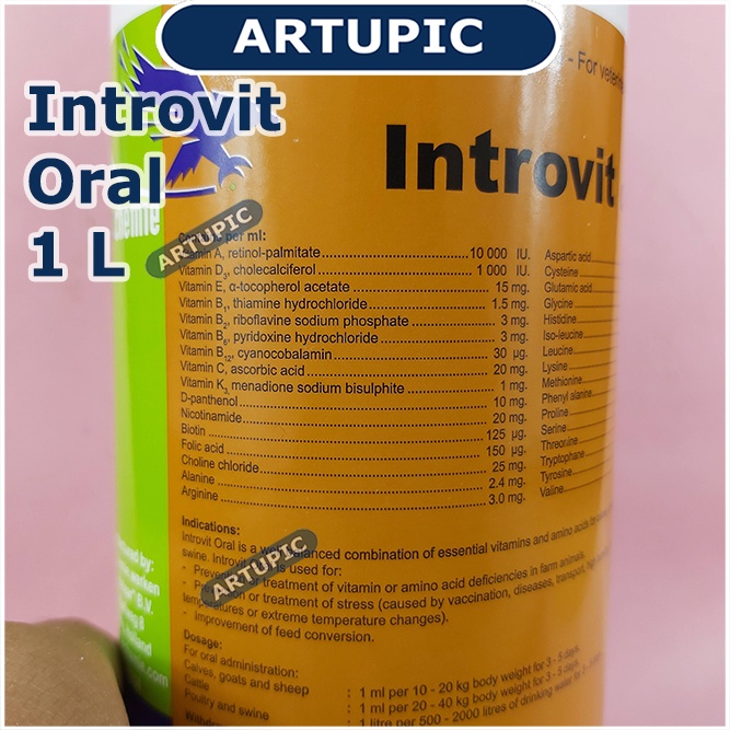 Introvit Oral 1 Liter Multivitamin Lengkap Asam Amino Ternak Hewan Vitamin Holland Mempercepat Pertumbuhan dan Meningkatkan Produksi Telur Daya Tahan Tubuh Mengatasi Stres Stamina Daging Telur Susu Ayam Sapi Kambing Babi Domba