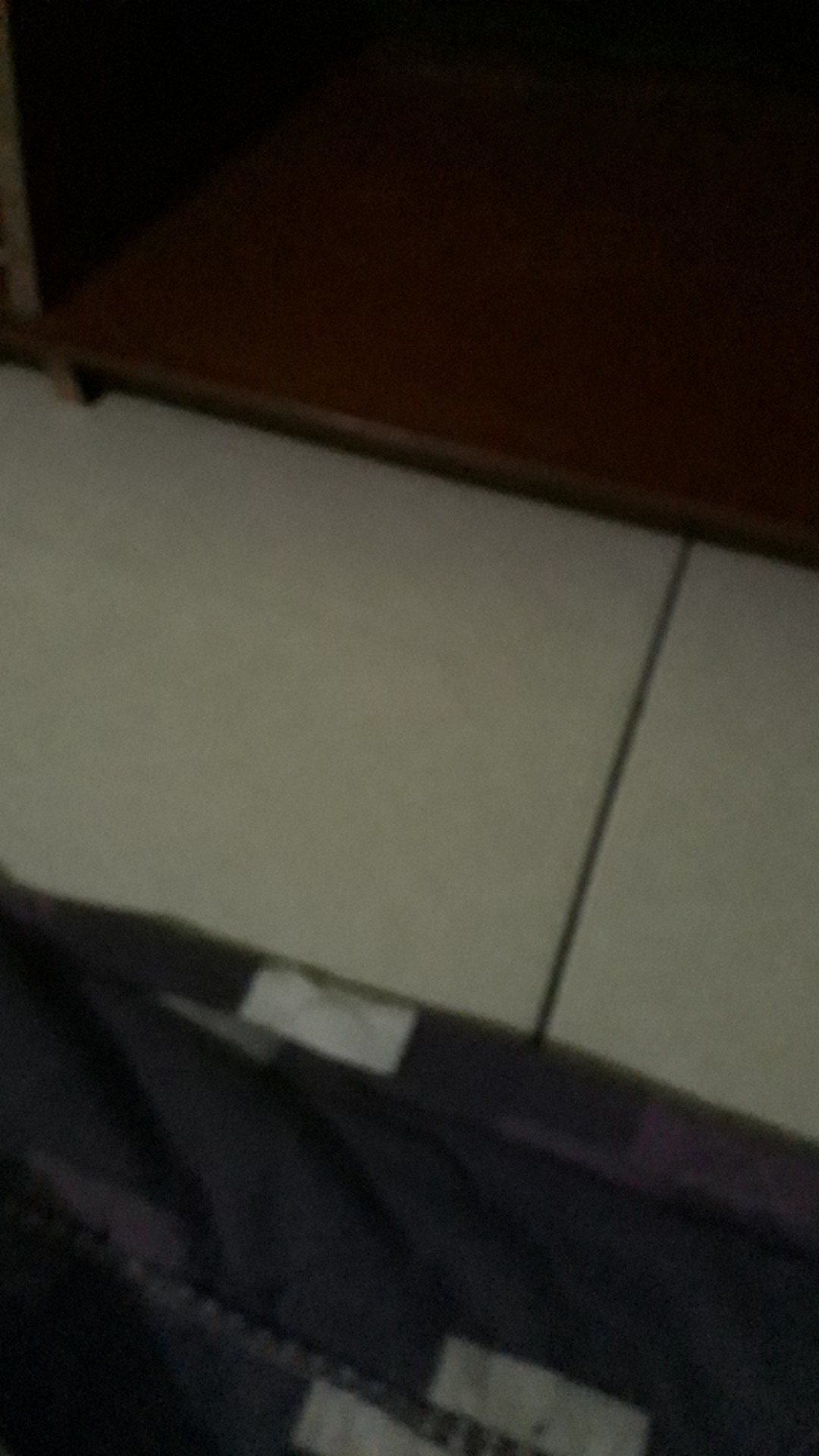 561 - Tempat Sikat Gigi Tempel Dindin Model Kumbang Kepik Ladybug