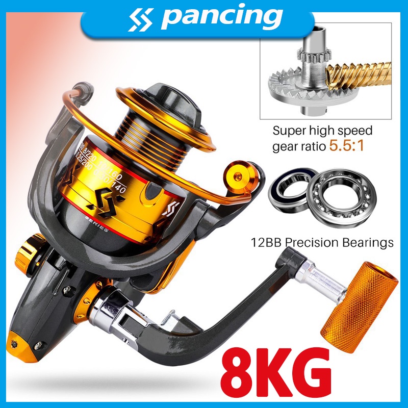 Reel Pancing 12BB Spinning Fishing Reel Gearing 5.5:1 High Speed Fishing Wheel