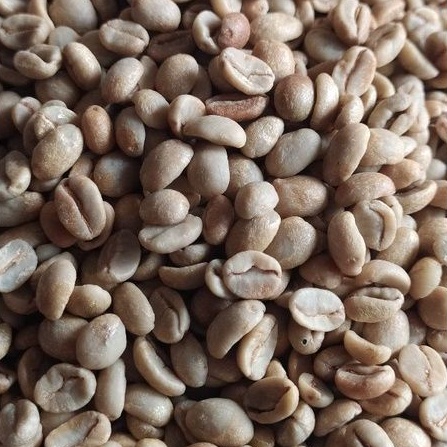 

Greenbean Arabica Natural Temanggung 1 kg