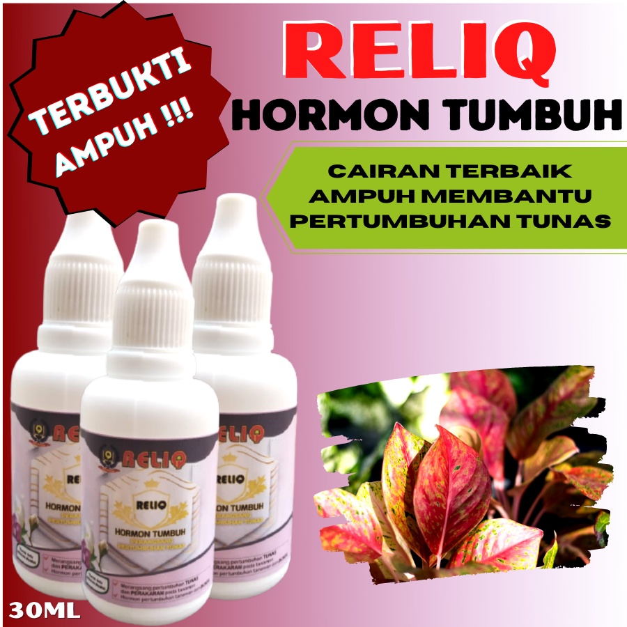 Hormon Tanaman Hias | RELIQ HORMON TUMBUH | Perangsang akar | Perangsang Akar Stek | perangsang akar