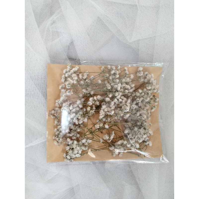 

baby breath petal import tidak rontok