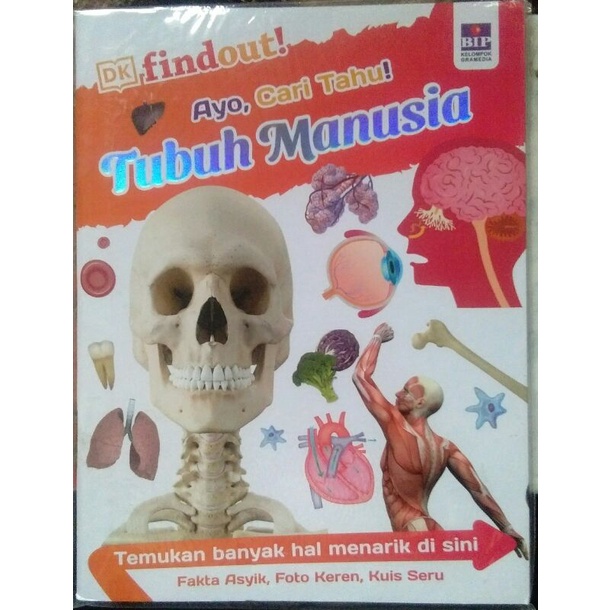 DK Findout Ayo,  Cari Tahu Tubuh Manusia