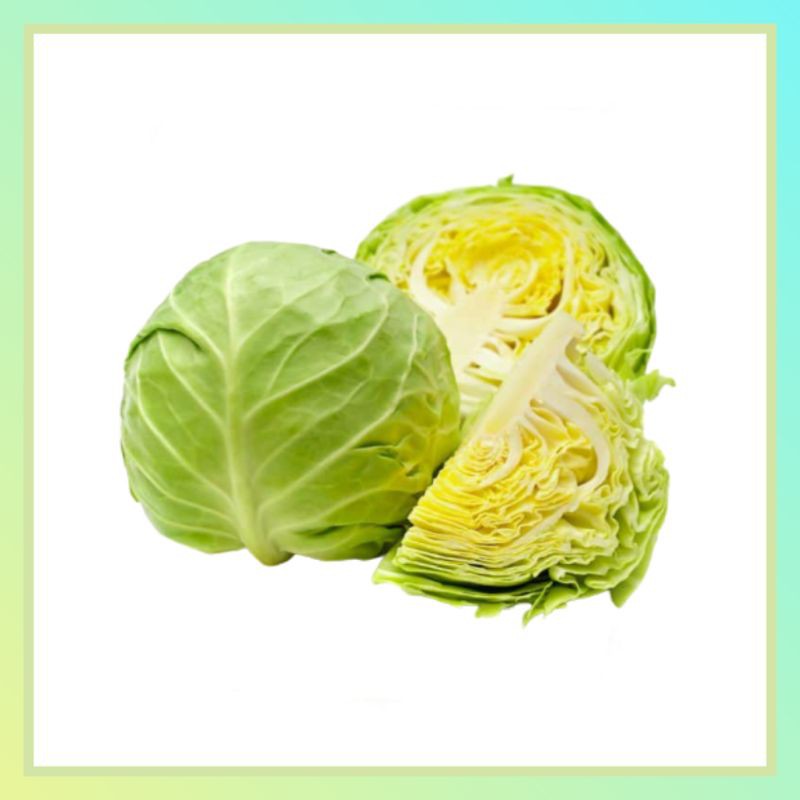 

Kubis Kol 1 kg - Sayur Segar