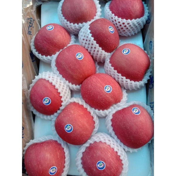 

apel fuji jumbo size