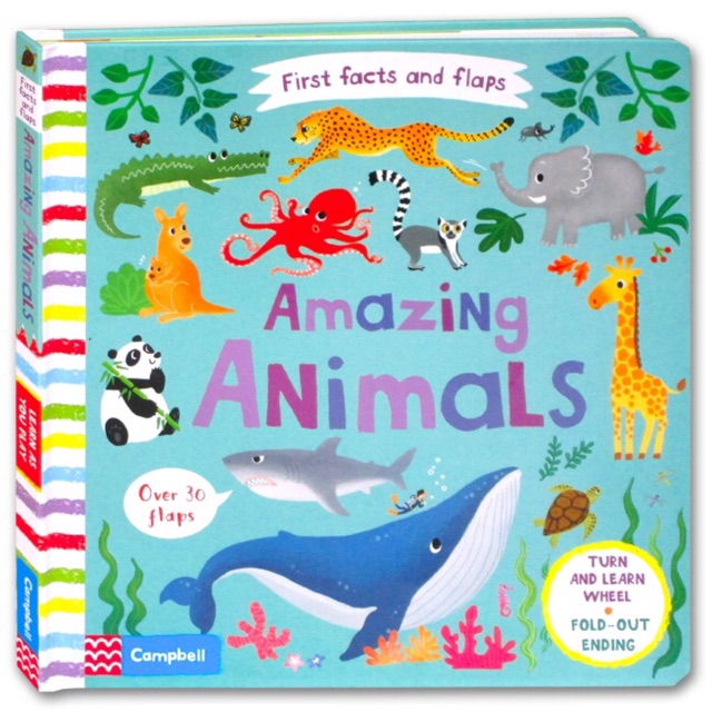 First Facts and Flaps Book - Amazing Animals (Over 30 Flaps)