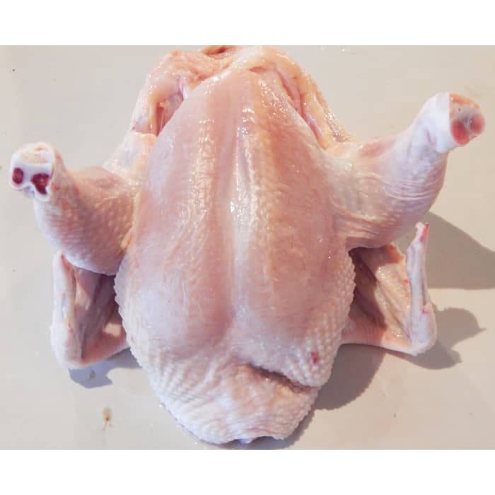 

Ayam Broiler 1 ekor