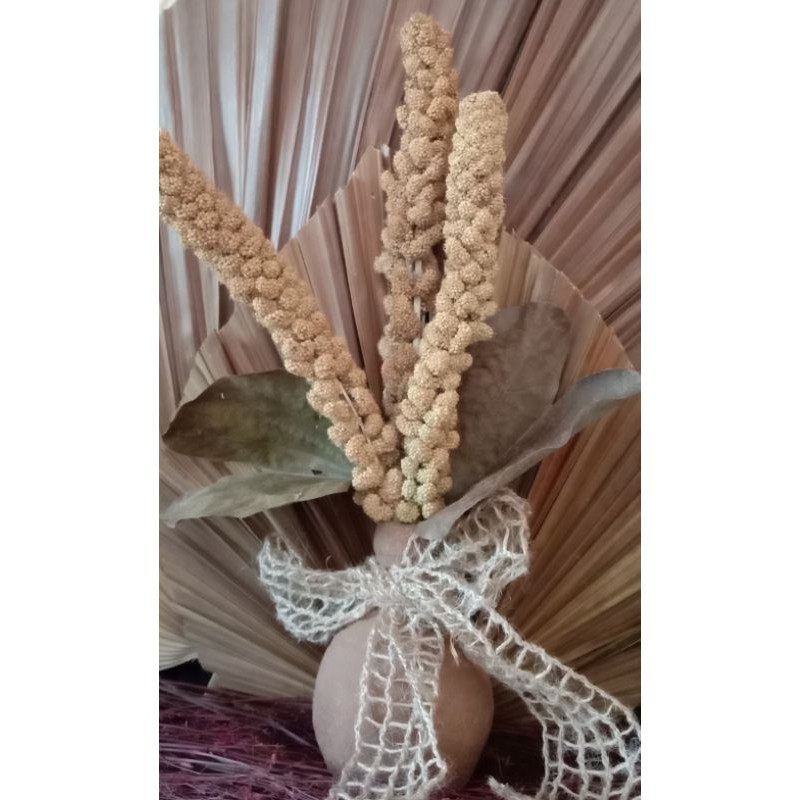 Super Rustic Classic Natural Millet Vas Gerabah Terracota