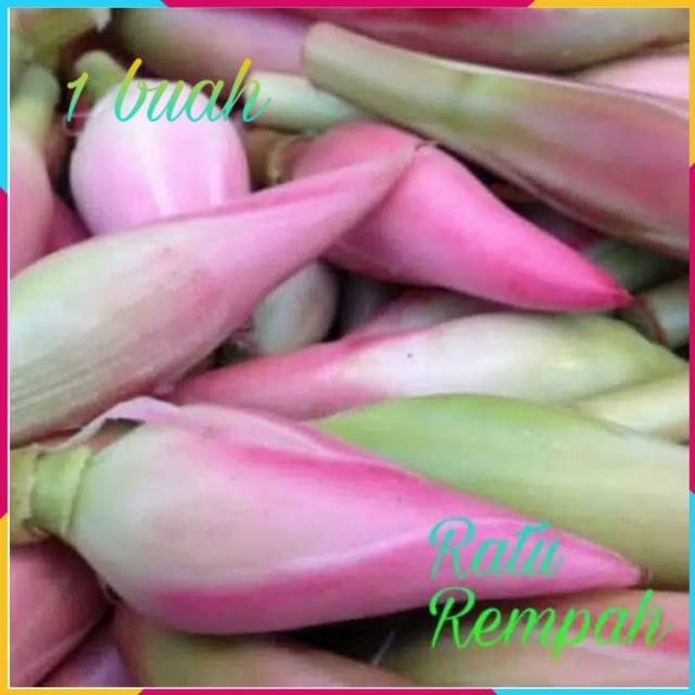 

Kecombrang / bumbu rempah